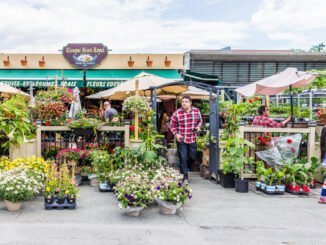 Le Plateau Mont-Royal