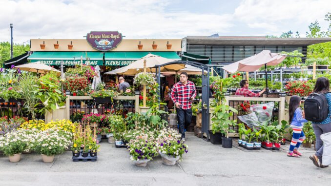Florist walking by famous shop near metro called Kioske Mont-Royal in Plateau neighborhood during summer during sunny day in city in Quebec region Le Plateau Mont-Royal