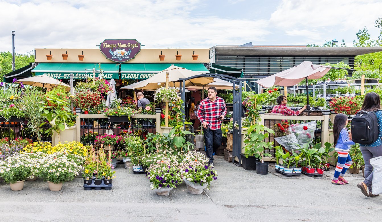 Le Plateau Mont-Royal