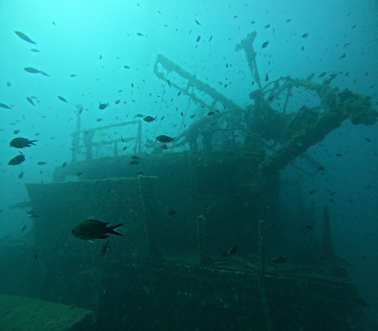 Transportation Safety Board to release report on Titan submersible implosion