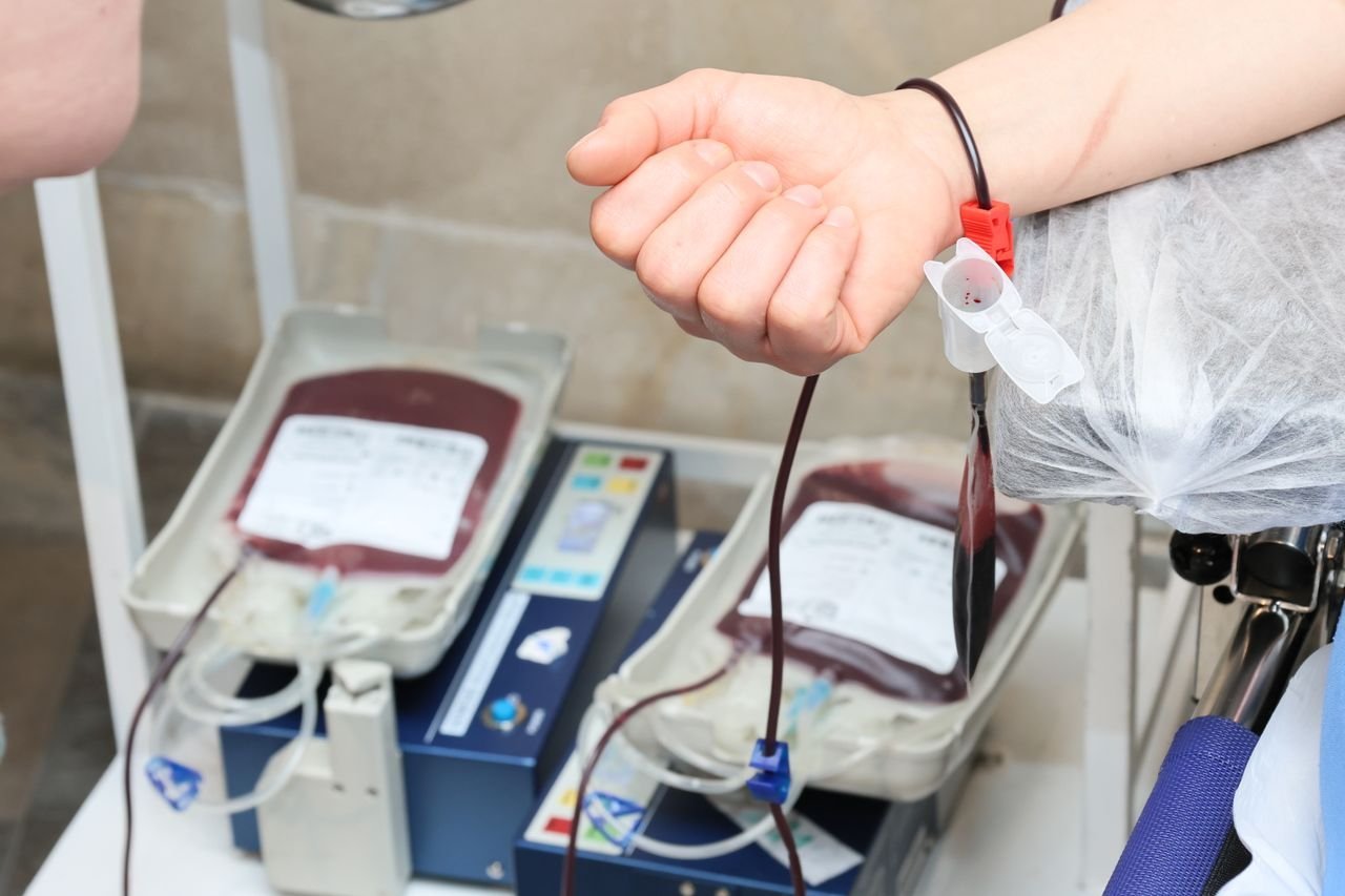 Héma-Québec launches summer outreach campaign to boost blood and plasma donations