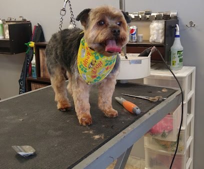 Canine Beauty Salon