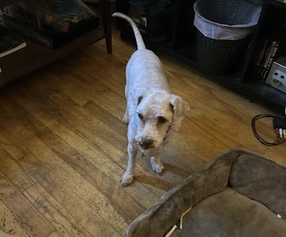 Chico