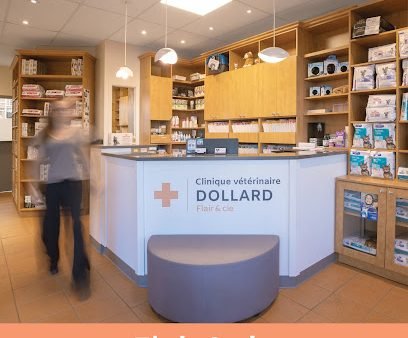 Clinique Vétérinaire Dollard