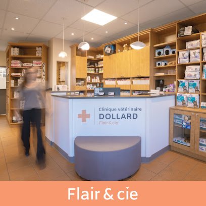 Clinique Vétérinaire Dollard