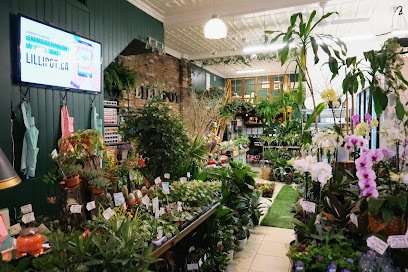 Lillipot – Boutique Florale
