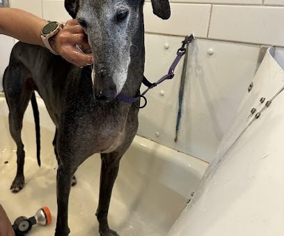 Toilettage Spa Poilu