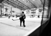 Maple Leafs Sport