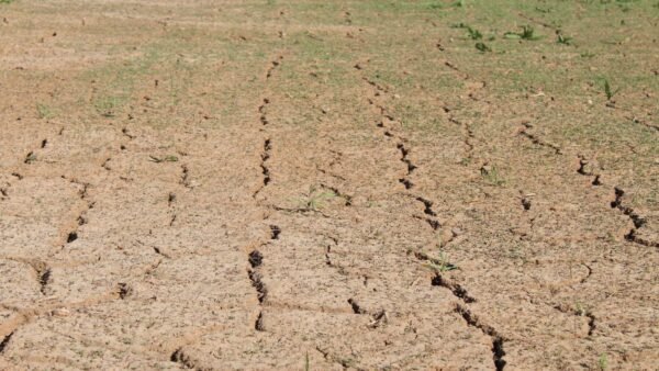 alberta's agriculture droughts