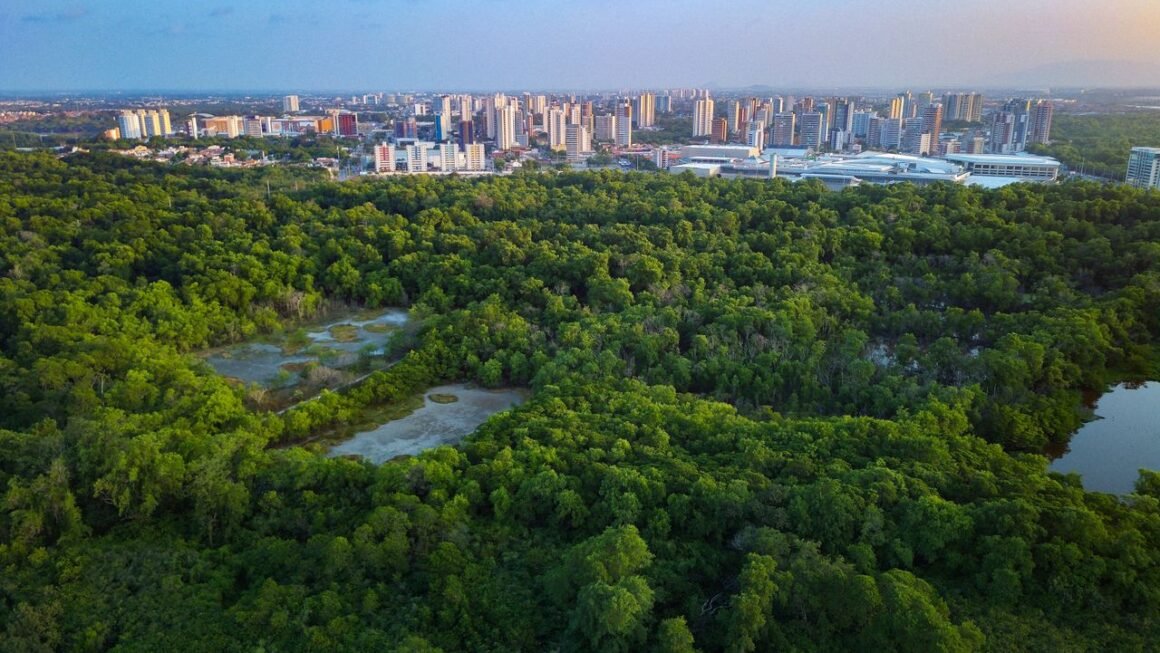 biosphere reserve city