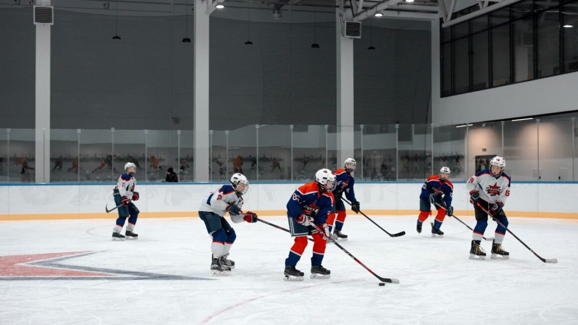 firebirds national hockey league