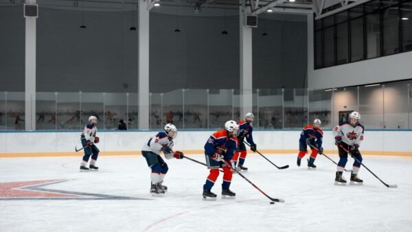 firebirds national hockey league