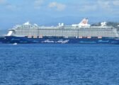 Cruises